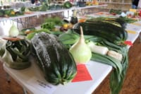 Masham Horticultural Show September