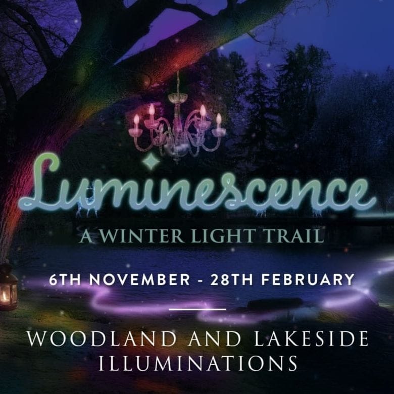 Luminescence at Swinton Park Estate, near Masham