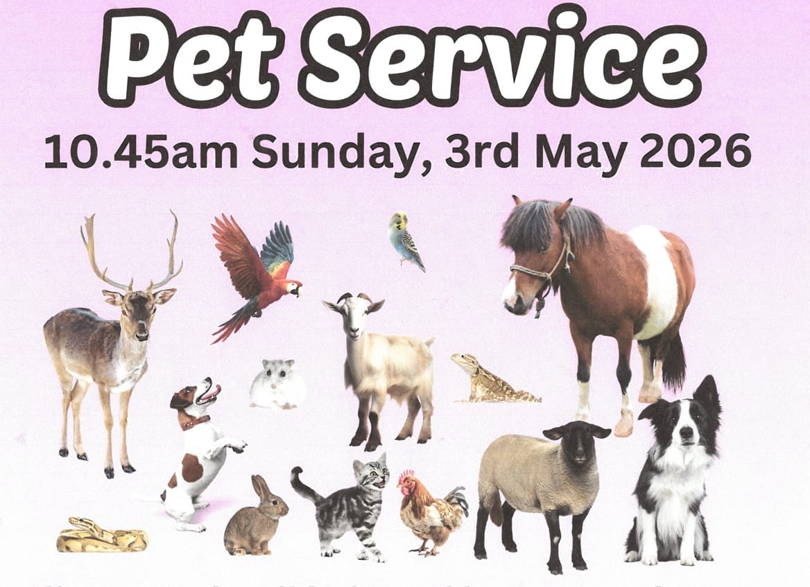 St. Mary's Church - Pet Service