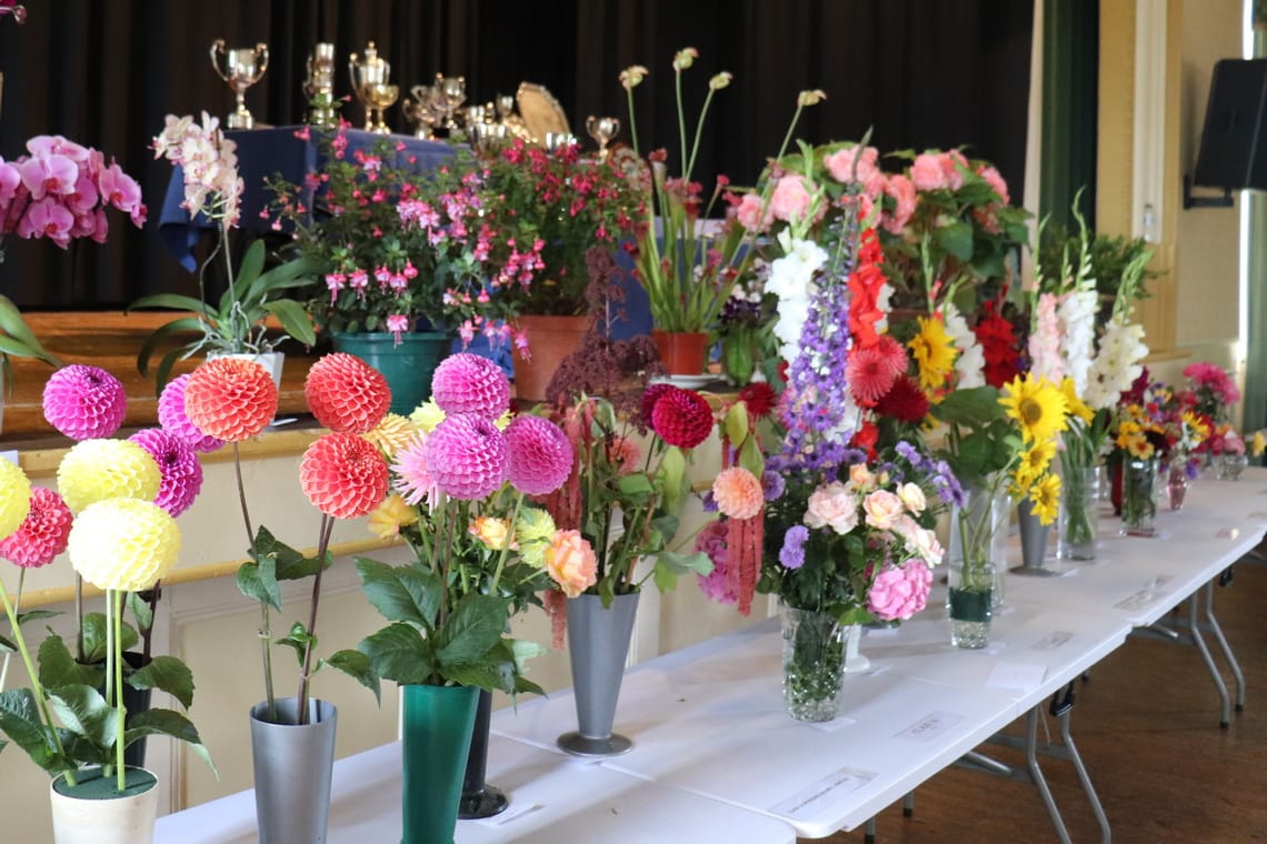 Mashamshire Show