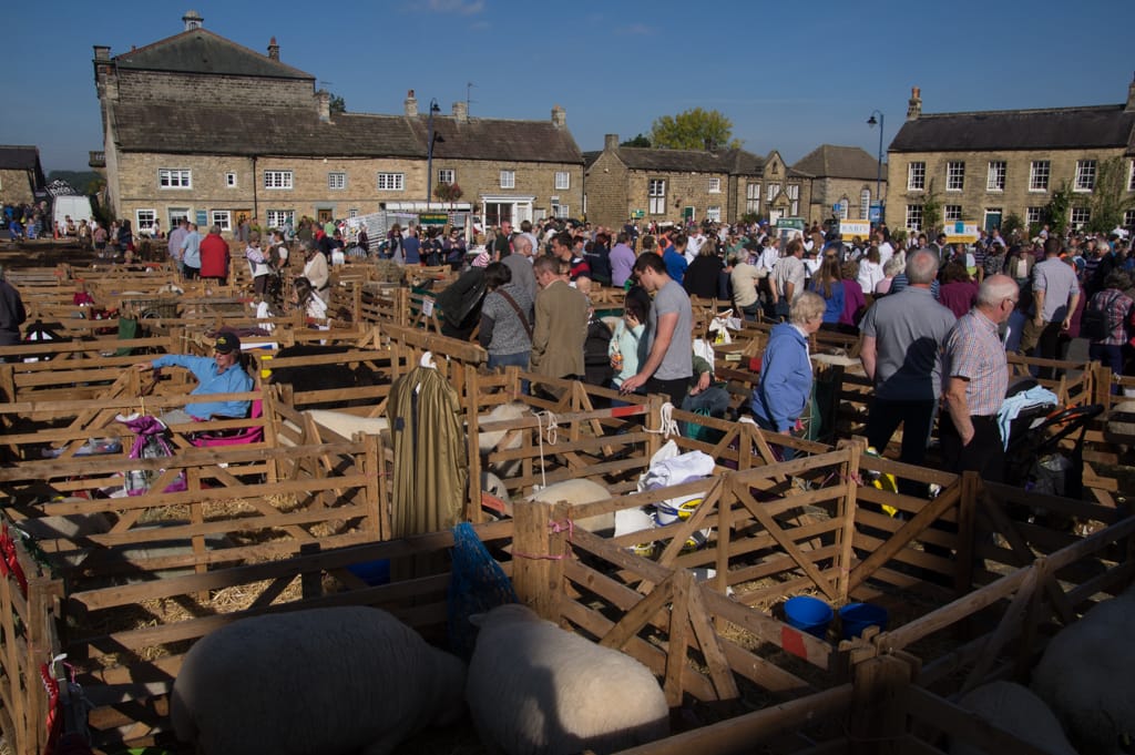 Masham Sheep Fair