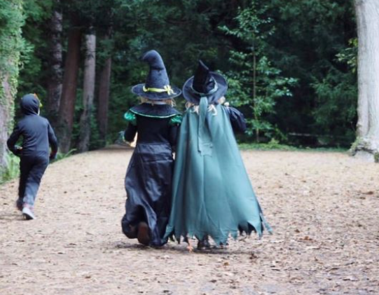 Thorp Perrow Halloween events near masham