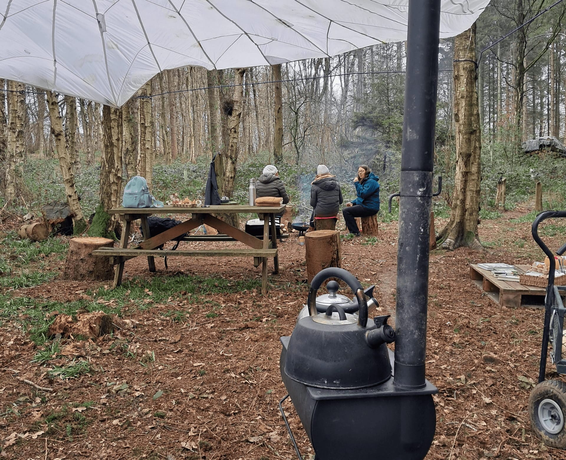 Women in the Greenwoods